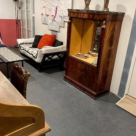 Loft Atypique Hyper Centre Saint-etienne - 80 M2 * サン・テティエンヌ